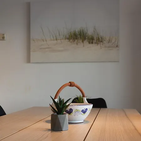 Cadiz 0602 * Sint-Idesbald